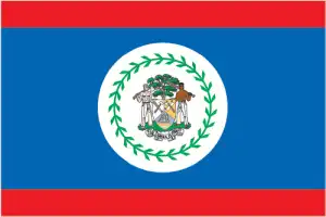 The official flag of the Belizean nation.