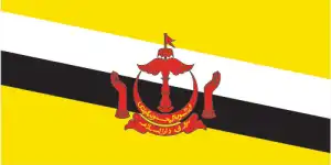 The official flag of the Bruneian nation.