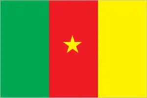 The official flag of the Cameroonian nation.