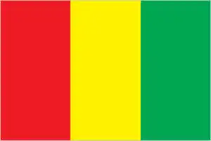The official flag of the Guinean nation.