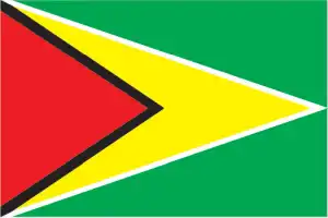 The official flag of the Guyanese nation.