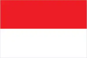 The official flag of the Indonesian nation.