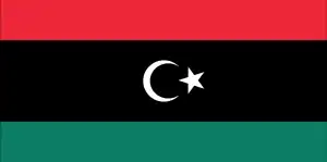 The official flag of the Libyan nation.