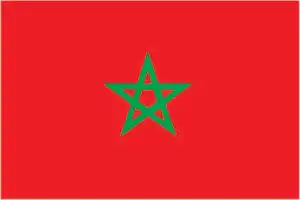 The official flag of the Moroccan nation.