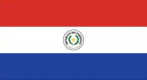 The official flag of the Paraguayan nation.