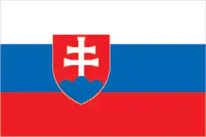 The official flag of the Slovak nation.